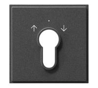 Gira Gira Plaque centrale nthracite TX44 066467 Quantité:1