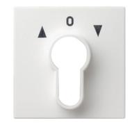 Gira Gira Plaque centrale clé rws System55 066427 Quantité:1