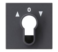 Gira Gira Plaque centrale porte-clés anthracite System55 066428 Quantité:1