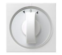 Gira Gira Plaque centrale rws-gl avec bouton pour volets 066603 Quantité:1