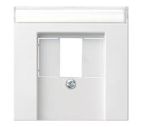 Gira Gira Plaque centrale rws-gl pour prise TAE 087603 Quantité:1