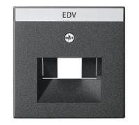 Gira Gira Plaque centrale UAE/IAE anthracite avec inscription, System55 028428 Quantité:1