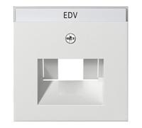 Gira Gira Plaque centrale UAE/IAE rws avec inscription, System55 028427 Quantité:1