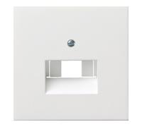 Gira Gira Plaque centrale UAE/IAE rws/gl 0270112 Quantité:1