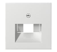 Gira Gira Plaque centrale UAE/IAE rws System55 027027 Quantité:1