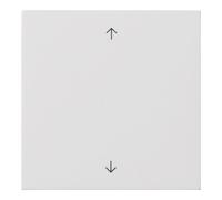 Gira Gira Plaque de commande rws symboles fléchés 5361112 Quantité:1