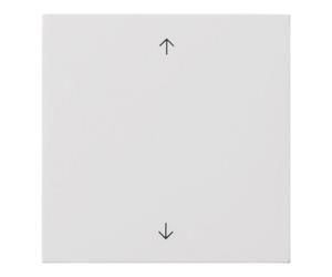 Gira Gira Plaque de commande rws symboles fléchés 5361112 Quantité:1