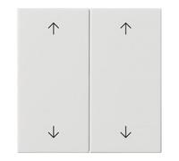 Gira Gira Plaque double blanc pur 538703 Quantité:1