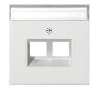 Gira Gira Plaque Modular Jack 30° double rws 2640112 Quantité:1