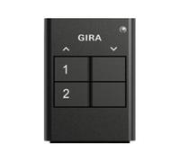 Gira Gira Télécommande radio 2 boutons anthracite 535210 Quantité:1