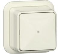 Gira Interrupteur À Bouton En Saillie Avec Fenêtre De Contrôle - 315210