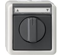 Gira 015430 Bouton-Poussoir/Interrupteur de Stores unipolaire avec Zone D'inscription Gris