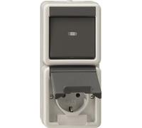 Gira Interrupteur Vertical Prise Combo IP44 Gris - 417630