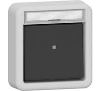 Gira IP44 Bouton À Bascule Avec Contact De Signal Gris - 315235