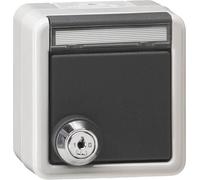 Gira IP44 Prise SCHUKO Extérieure Avec Capot Verrouillable - 456930