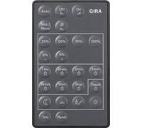 Gira télécommande Infrarouge pour LED 237300 sensotec