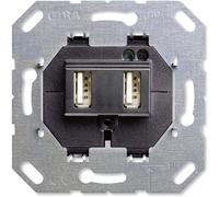 2fach usb-steckdoseneinsatz reinws