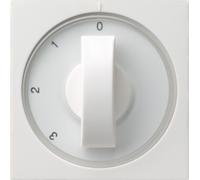 Gira plaque centrale rws-gl 066903