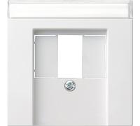 Gira plaque centrale TAE rws 087627