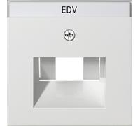 GIRA Plaque centrale UAE/IAE 3f Système 55 rws mt