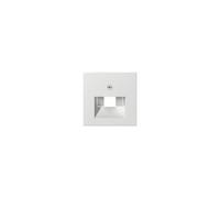 Gira plaque centrale UAE/IAE rws 027027