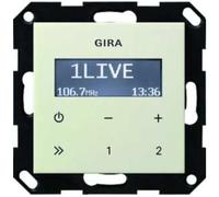 GIRA Radio encastrée 228401 RDS sans haut-parleur Système 55 cw