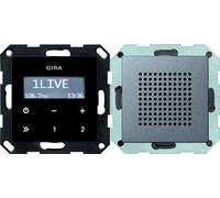 Gira Radio UP RDS anthracite 228028 Système 55, Bouton + interrupteur, Gris