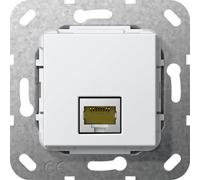 Gira RJ45 Cat 6A 10GB Changeur De Genre Module De Base - 569503