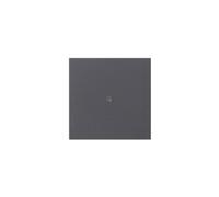 GIRA S3000 Commande BT System 55 536828