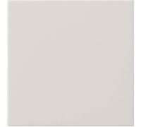 Gira S3000 Commande système 55 536027 blanc pur m, Bouton + interrupteur, Blanc