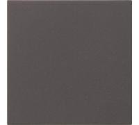 Gira S3000 Système 55 536028 Anthracite, Bouton + interrupteur, Gris