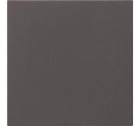 Gira S3000 Système 55 536028 Anthracite, Bouton + interrupteur, Gris
