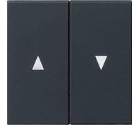 Gira WIPPE 2F SYMBOLE DE FLECHE SW M (0294005 SYST.55)