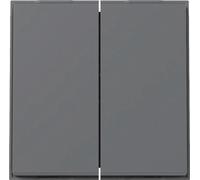GIRA Wippe 2f TX_44 WG UP 329567Anthrazit (329567)