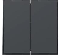 GIRA Wippe 349567 2f gerade TX44 anthr (349567)