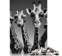 Giraffe Rap Band Puzzle 1000 Pièces Educa Jouet en Bois Jeu D'Intelligence Décoration Intérieure Jeu Éducatif Challenge Toy Adultes Et Enfants À Partir De 14 Ans 1000pcs (38x26cm)
