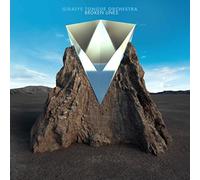 Giraffe Tongue Orchestra - Broken Lines [Vinyl LP]