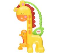 Giraffen-Mami und Baby