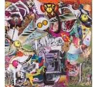 Giraffes? Giraffes Memory Lame (Vinyl) 12" Album Coloured Vinyl