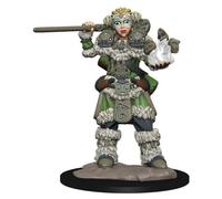 Girl Druid and Stone Creature Wardlings