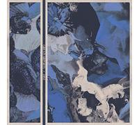 Girls in airports - Dive