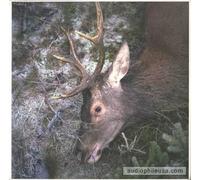 Girls in Hawaii - Plan Your Escape [Import]