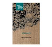 Giroflée jaune (Erysimum cheiri) 300 graines de plante odorante populaire du Moyen Age. Fleur à couper. Bonne plante fourragère pour les abeilles. Vivace.