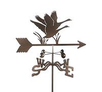 Girouette à Montage sur Toit d'oie, Silhouette de Cygne, indicateur de Direction du Vent en Acier Inoxydable, Support métallique extérieur, girouette, décoration de de Cour