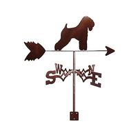 Girouette Art Decor Girouette en Acier Inoxydable Outils de Mesure Indicateur de Direction de girouette pour la décoration de Patio Cour