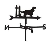 Girouette en métal pour Montage sur Le Toit, indicateur de Direction du Vent créatif, girouette soufflée par Le Vent pour l'extérieur, la Ferme, la Cour, Le, Outils de Mesure faciles à Assembler
