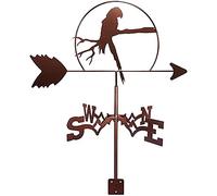 girouette, Indicateur de Direction du Vent, Ornements artisanaux, girouette créative, Outil Mesure la Maison for décoration Jardin extérieur(Vulture)