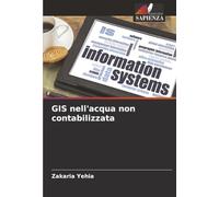 GIS nell'acqua non contabilizzata
