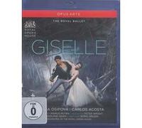 Giselle E
