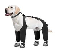 Gissroys Chaussures de puppies résistantes au froid - Tige étendue - Intérieur en polaire - Fermeture facile à sangle pour les pavements de glace - Semelles antidérapantes en caoutchouc